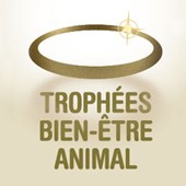 Logo Trophées BEA