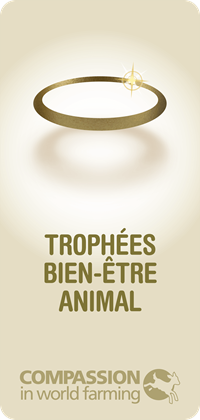 Fr Gfawa Non Dated Logo