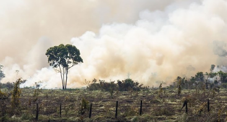 Biodiversité en danger