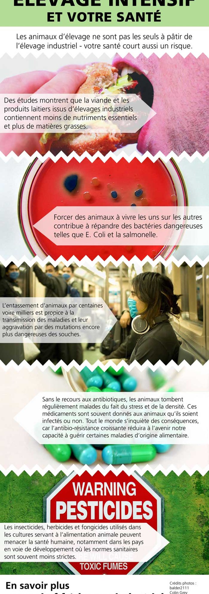 Infographie Santé