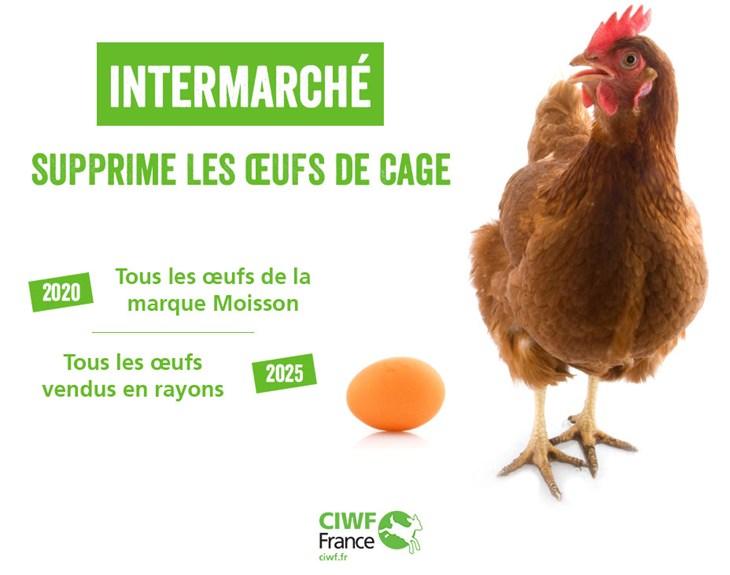 Intermarché-engagement.jpg