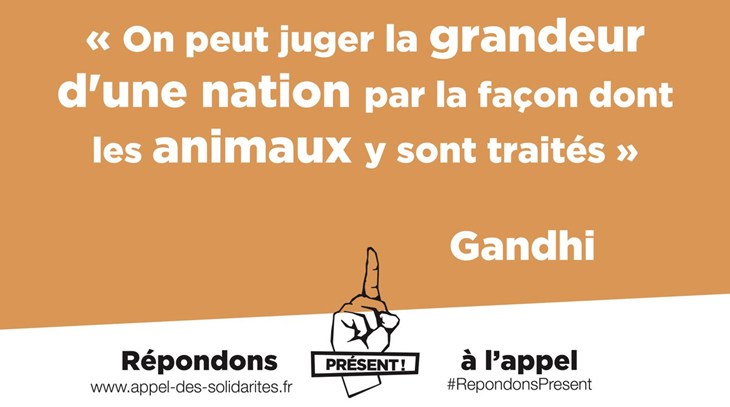 RepondonsPresent.jpg