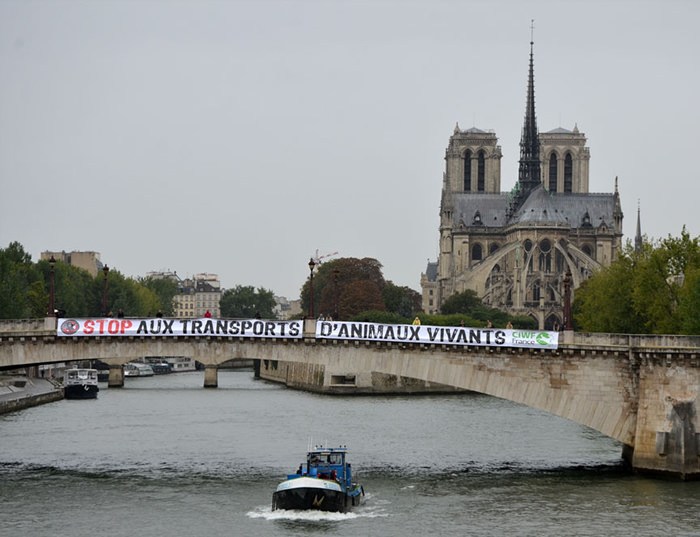 40m banner across River Seine – France SLT17 CIWF FR.jpg