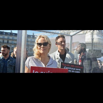 DSC_7632 copyright Michel Pourny CIWF France.JPG