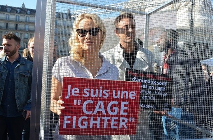 Photo Pamela Anderson dans une cage en soutien à la campagne