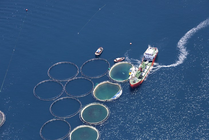 aerial view of fish farm 2500x1667.jpg