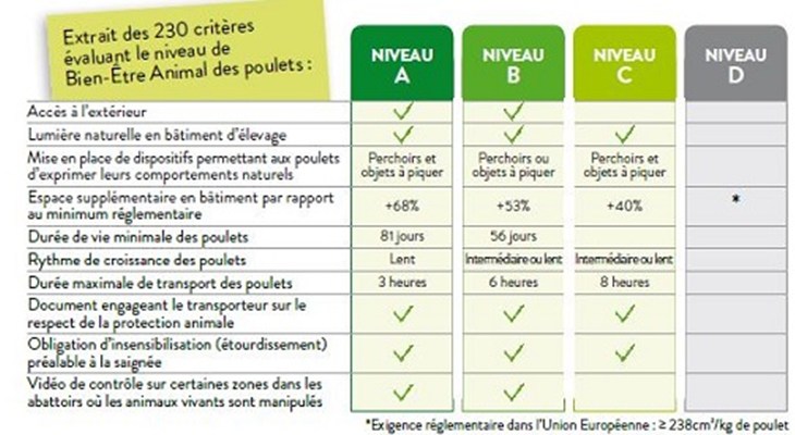 tableau étiquetage CAsino