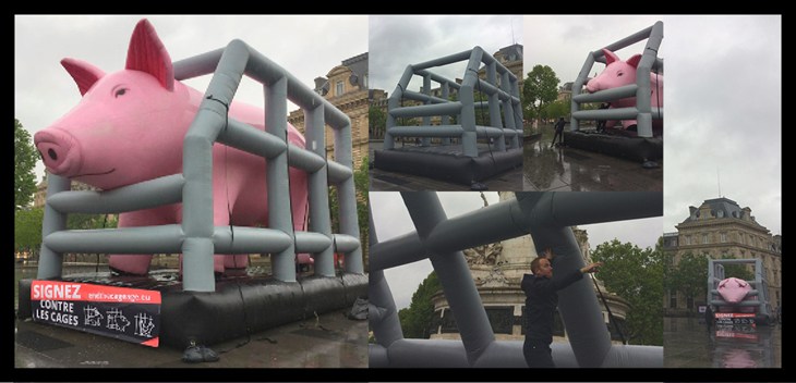 Cochon gonflable en cage