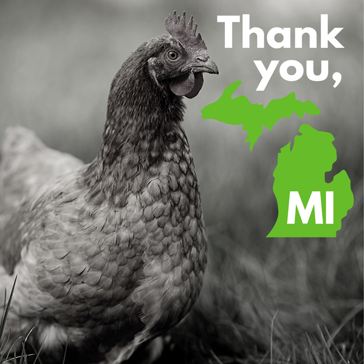 MI Victory 1080P Square