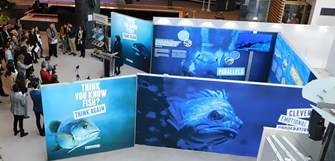 exposition rethink fish Bruxelles
