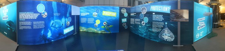 exposition rethink fish