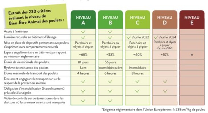 Tableau Etiquetage