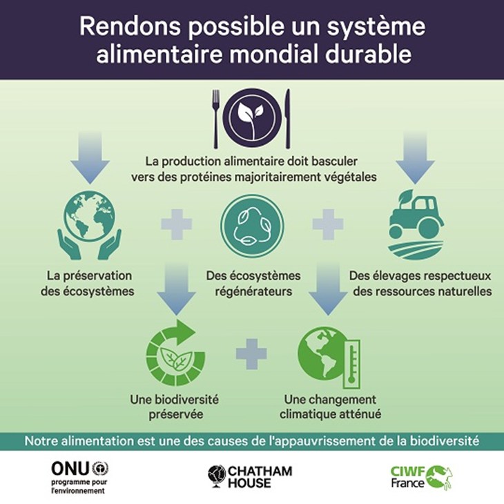 CIWF Framework For A Sustainable Square FR FG