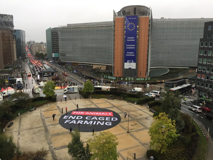 Schuman Square, October 2019 2 (1)