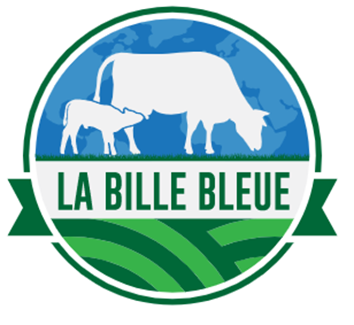 La Bille Bleue Logo
