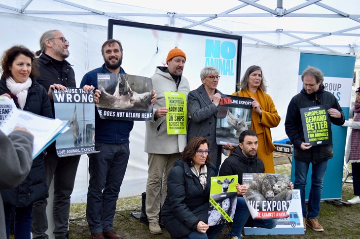 Stop aux exportations d'animaux vivants