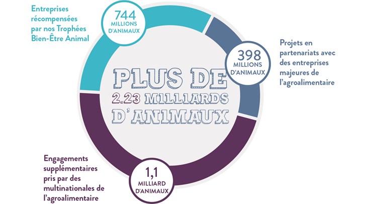 Impact Diagram 2019 FR (1)