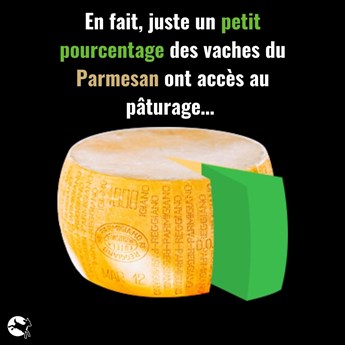 un infime pourcentage de vaches laitières ont accès au pâturage