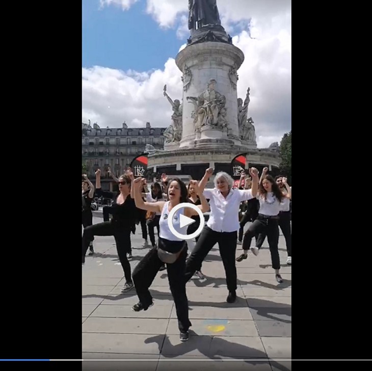 Regarder la video Flashmob Délégation Stop Cage Place de la République