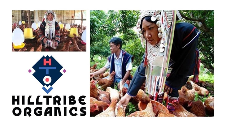 Hilltribe Organics images