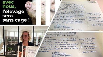 Montage photos Directrice CIWF France avec des cartes postales "avec nous, l'élevage sera sans cage !"