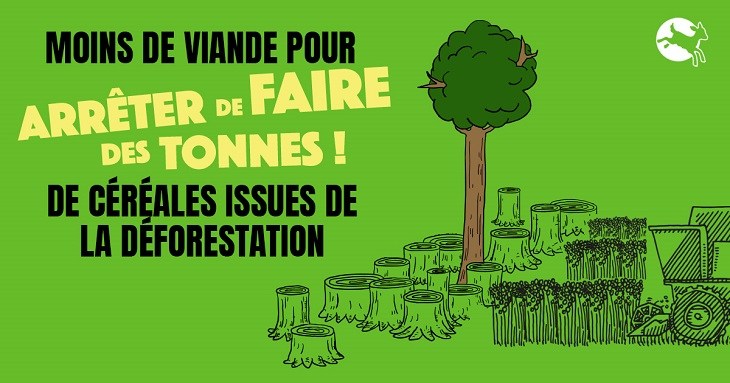 Illustration arrêtons d'en faire des tonnes de céréales issues de la déforestation