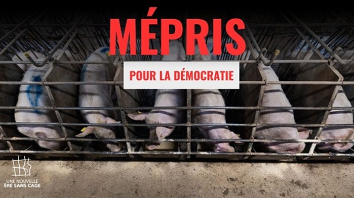 Mépris pour la démocratie