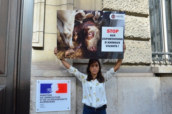 Notre responsable campagnes Julie devant le Ministère de l'Agriculture brandit un panneau pour la fin des exportations d'animaux vivants