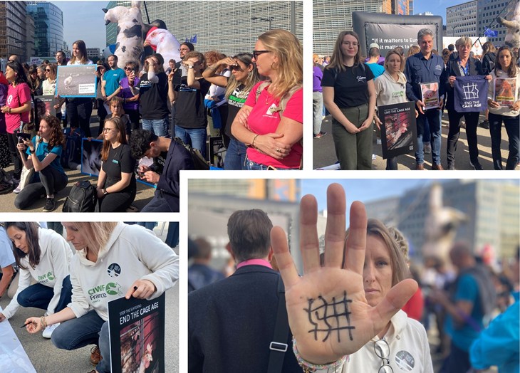 Photo d'une personne montrant sa main avec dessiner le symbole Nouvelle ère sans cage