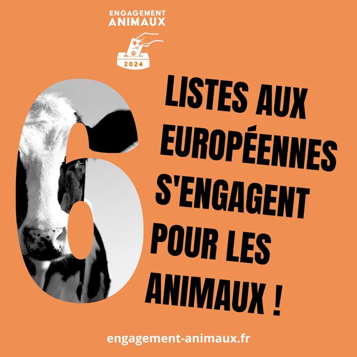6 listes s'engagent pour les élections européennes