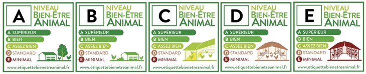 Visuels de l'étiquette bien-être animal sur la filière oeufs