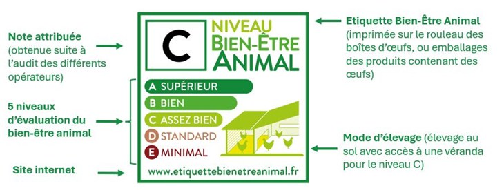 niveau c de l'étiquette bien-être animal sur les oeufs avec guide de lecture de l'étiquette