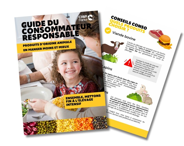 Visuel du guide consommateur
